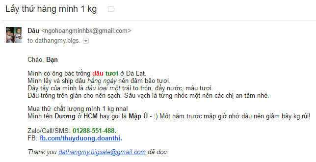 Cá nhân hóa, trộn nội dung email trước khi gửi email marketing