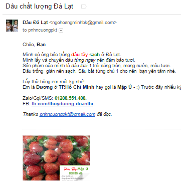 Gửi 5000 email một ngày miễn phí với Gmail Marketing