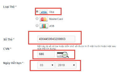 Đăng ký thẻ visa bằng ngân hàng Việt Nam