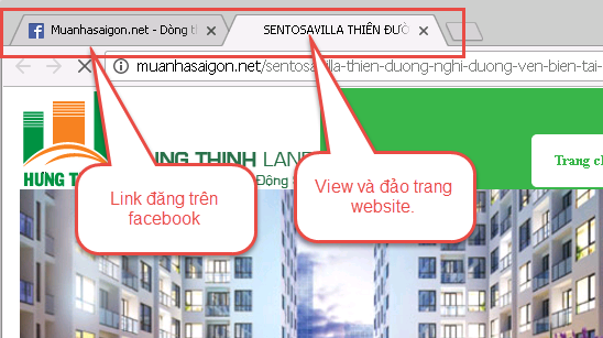 Tăng view từ mạng xã hội