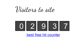 somanyvisitorssuchwow.