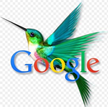 Những hình phạt của Google mà bạn nên nắm rõ