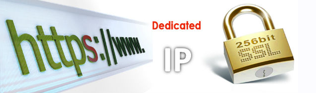 Địa chỉ IP chuyên dụng là gì và chứng nhận SSL ảnh hưởng đến thứ hạng tìm kiếm như thế nào?