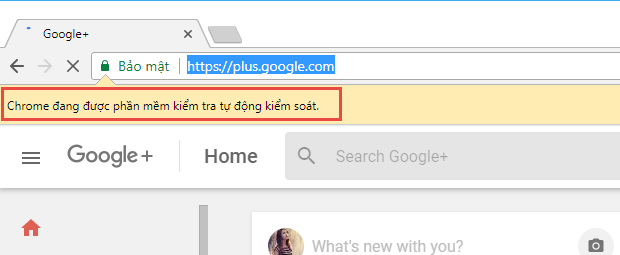 Cập nhật phần mềm Seo Google Plus, Youtube, Google Maps