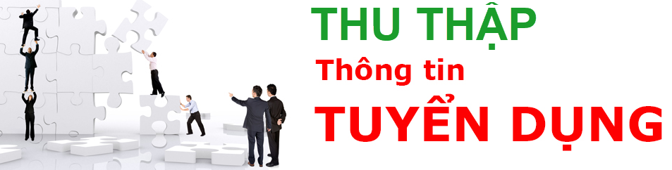 Phần mềm lấy thông tin tuyển dụng, ứng viên, việc làm, nhà tuyển dụng