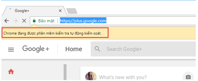 Sửa lỗi trình duyệt tự động Google Chrome