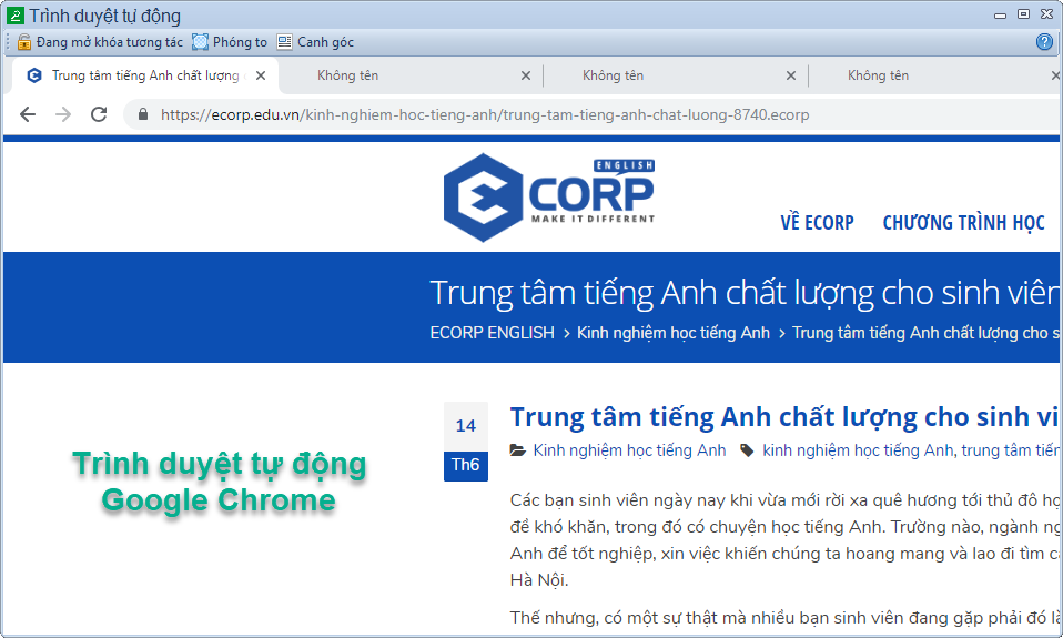 Cửa sổ chứa trình duyệt tự động
