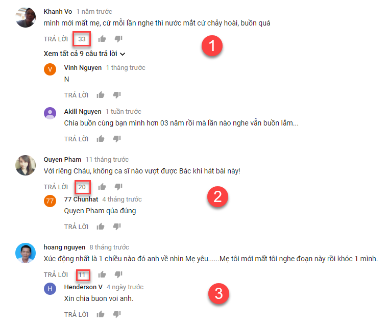 Update phần mềm seo Youtube